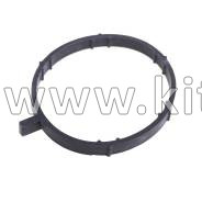 Уплотнительное кольцо дросельной заслонки JAC J7 1008104GG010