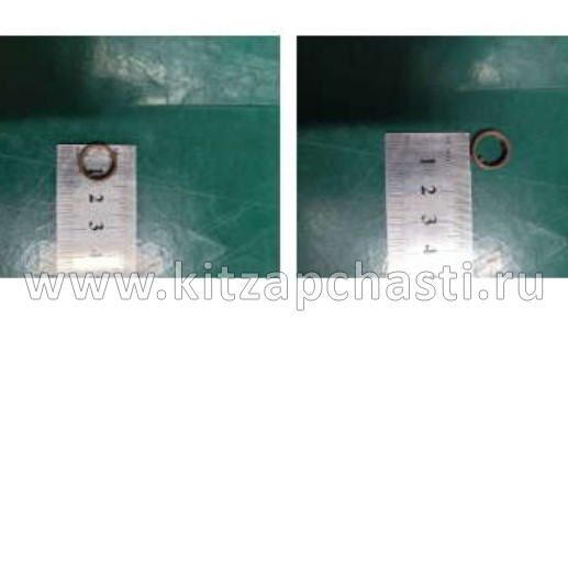Кольцо уплотнительное клапана масляного насоса Livan S6 PRO 1050009800