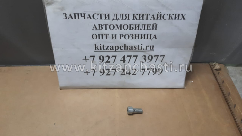 Штуцер масляной трубки (дизель 2.0L) HAVAL H6 1118013ED01